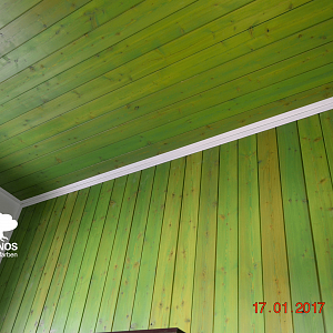 Стены и потолок цвета зеленой травы